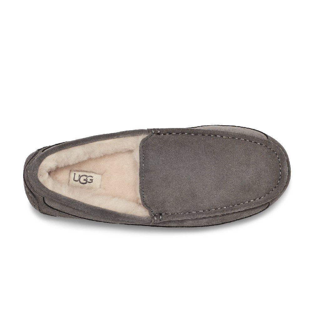 Ascot Slipper-休閒鞋